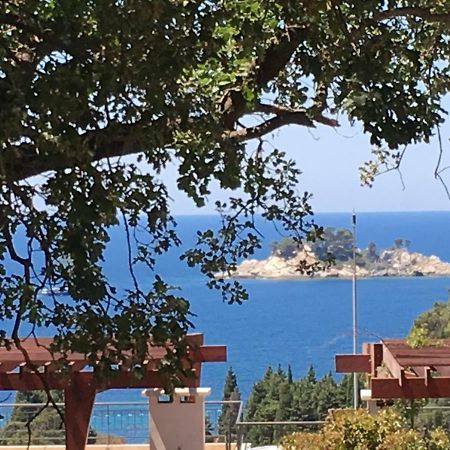 Villa Julia Petrovac Eksteriør bilde