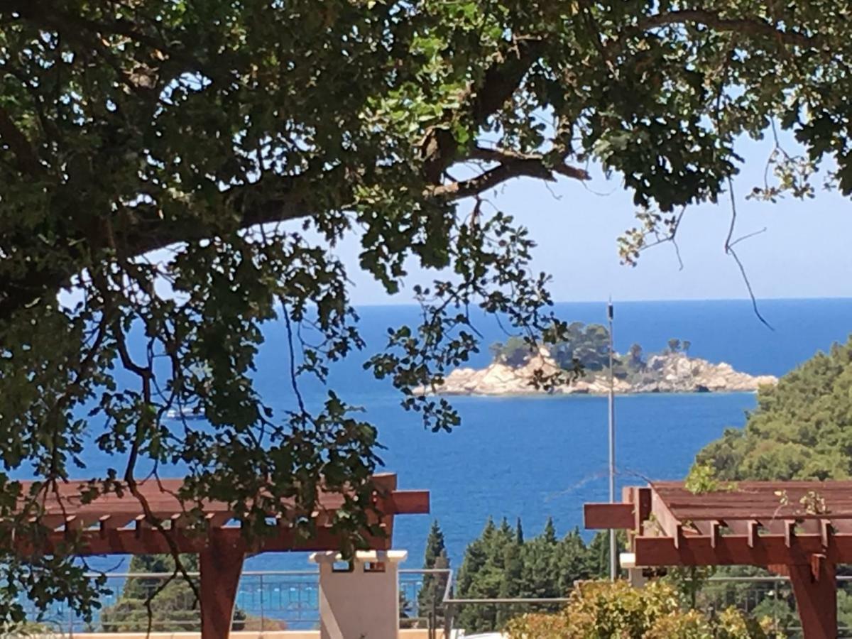Villa Julia Petrovac Eksteriør bilde